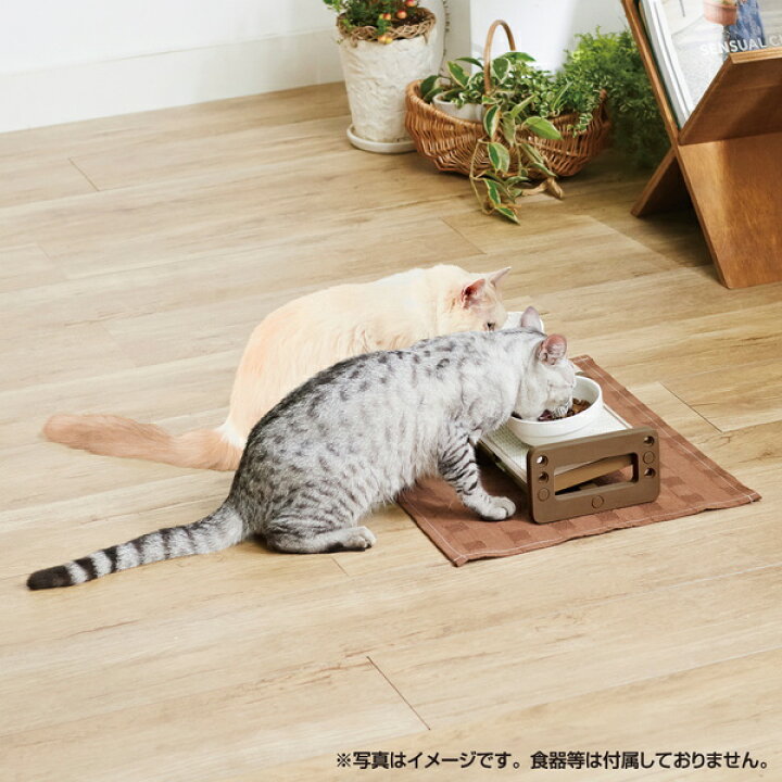 楽天市場】ペティオ 高さも角度も変えられる 猫用 食事台 全猫種 短毛 長毛 ネコ 食器 樹脂 Petio : Petio Online Shop  楽天市場店