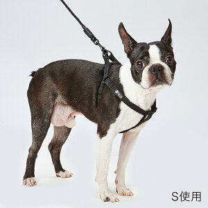 yeBI Porta |^ n[lX S ubN | Petio pn[lX   U ^ `10kg D Vv