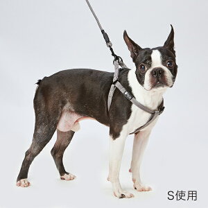 yeBI Porta |^ n[lX S Vo[O[ | Petio pn[lX   U ^ `10kg D Vv