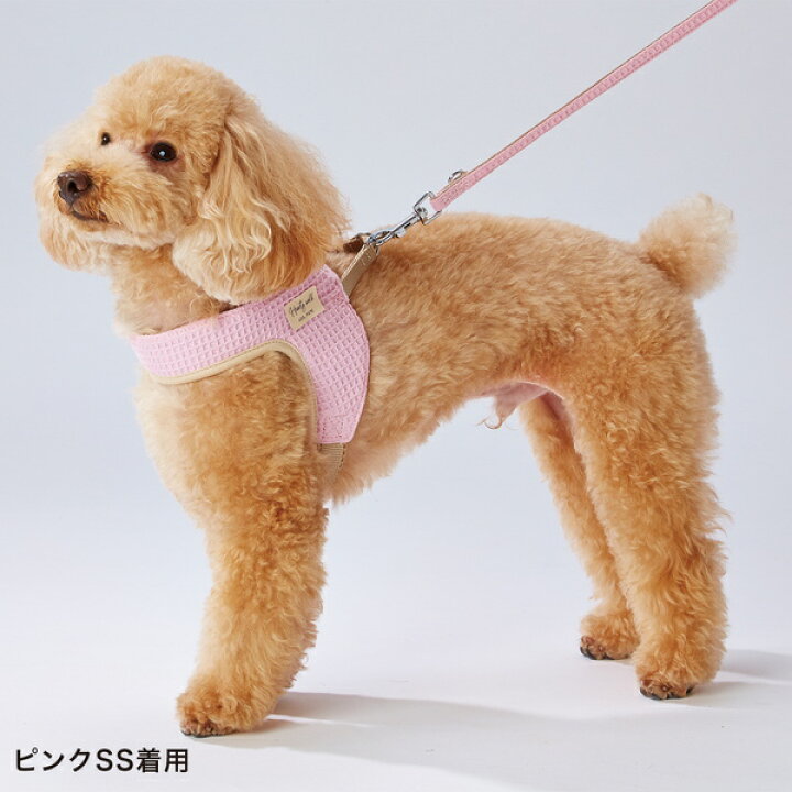 楽天市場 アドメイト ハーティウォーク ハーネス Ss グレー 超小型犬用 胴輪 テープ Add Mate Petio Online Shop 楽天市場店 楽天市場 アドメイト ハーティウォーク ハーネス Ss グレー 超小型犬用 胴輪 テープ Add Mate Petio Online Shop 楽天市場店