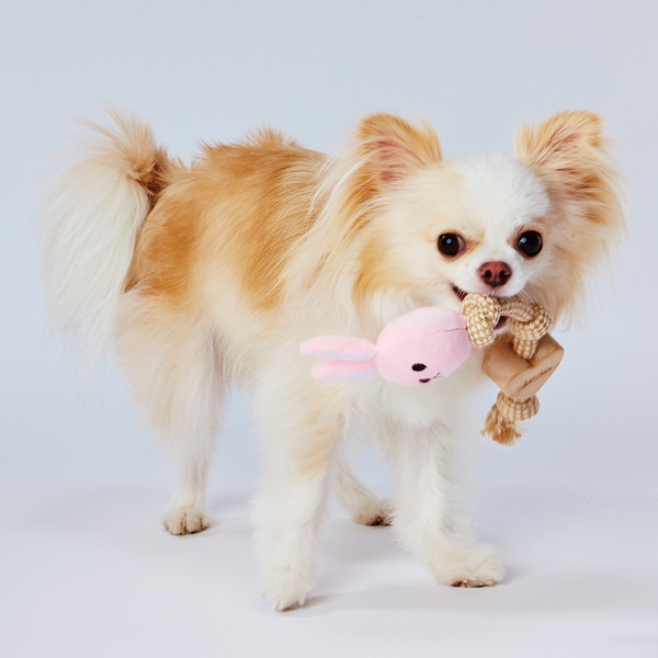 【ペット割 7/11 1:59まで】アドメイト Natural Floss ナチュラルフロス ウッディロープアニマル うさぎ 犬用おもちゃ  超小型犬〜小型犬 玩具 木製 Petio Online Shop 