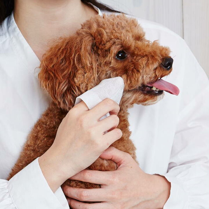 楽天市場 ペティオ 犬猫用 顔まわり用 シートでふきとる シャンプーティッシュ 30枚 短毛 長毛 ウェットティッシュ Petio W261 Petio Online Shop 楽天市場店