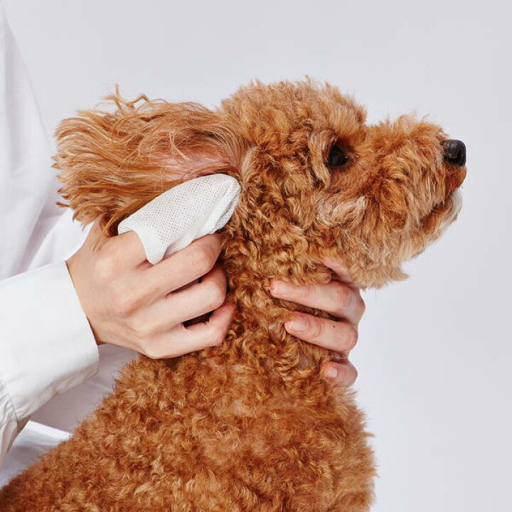 楽天市場 ペティオ 犬猫用 顔まわり用 シートでふきとる シャンプーティッシュ 30枚 短毛 長毛 ウェットティッシュ Petio W261 Petio Online Shop 楽天市場店