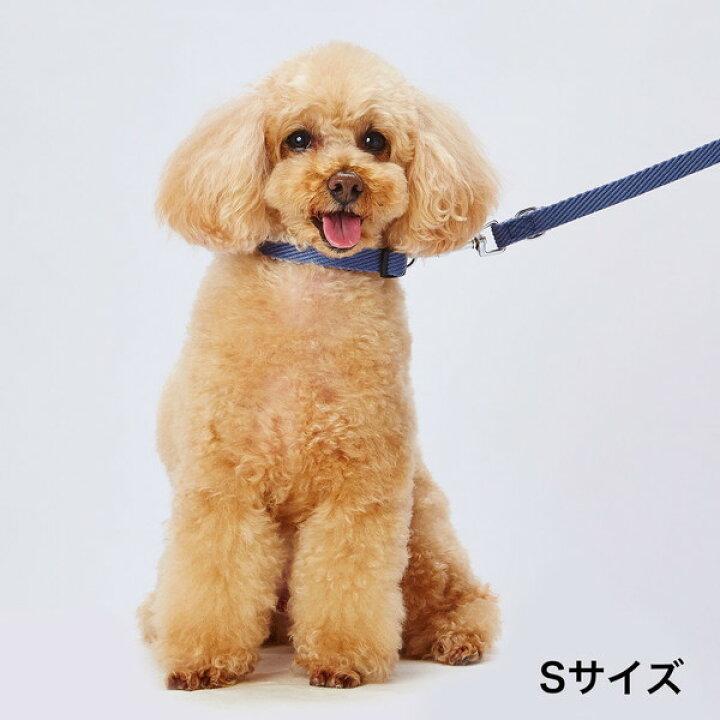 楽天市場 アドメイト 犬用首輪 ソフトスキップカラー M ブルー 柴犬 ビーグル等 中型犬用 犬具 繊維 Add Mate Petio Online Shop 楽天市場店