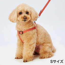 アドメイト 犬用ハーネス ソフトスキップハーネス S レッド シーズー キャバリア パグ等 小型犬用 犬具 繊維 Add.mate 胴輪