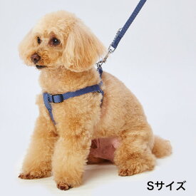 アドメイト 犬用ハーネス ソフトスキップハーネス S ブルー シーズー キャバリア パグ等 小型犬用 犬具 繊維 Add.mate 胴輪