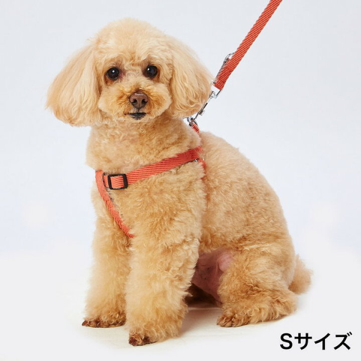 楽天市場 アドメイト 犬用胴輪 ソフトスキップハーネス M レッド 柴犬 ビーグル等 中型犬用 犬具 繊維 Add Mate Petio Online Shop 楽天市場店