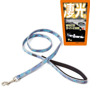 yeBI p[h tbV[h SS ʃu[ |jA ~j`A_bNX gCv[h ^p   Petio R