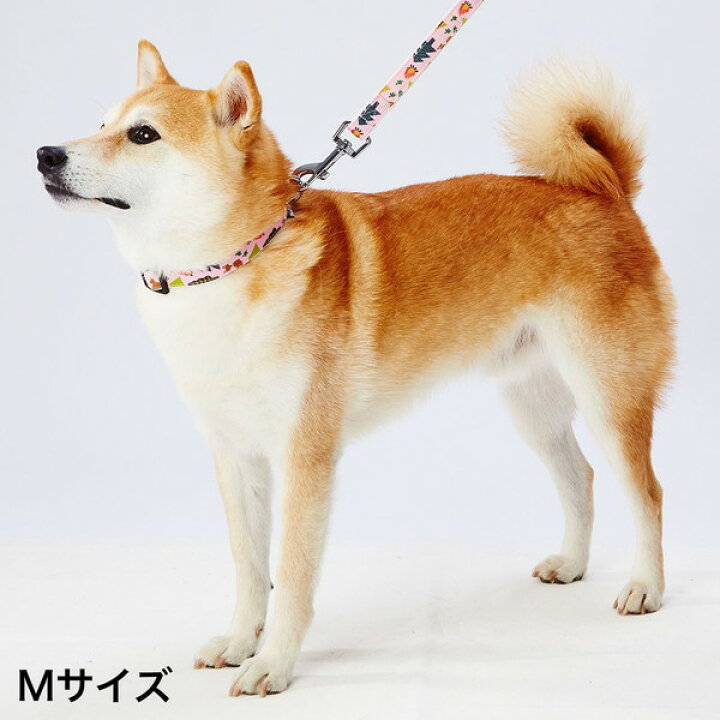 楽天市場】ペティオ 犬用リード EthicalDoor エシカルドア アニマル 