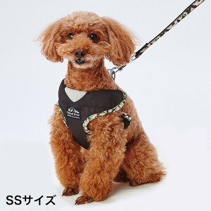 yeBI pn[lX EthicalDoor GVJhA ʃxXgn[lX SS ubN |jA ~j`A_bNX gCv[h ^p Rېn  Petio 