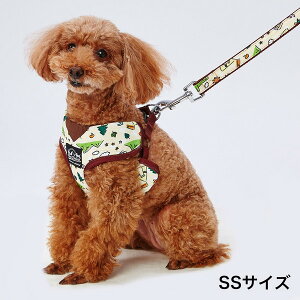 yeBI pn[lX EthicalDoor GVJhA LvxXgn[lX SS N[ |jA ~j`A_bNX gCv[h ^p Rېn  Petio 