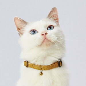 鈴 猫用首輪 リード ハーネスの人気商品 通販 価格比較 価格 Com 鈴 猫用首輪 リード ハーネスの人気商品 通販 価格比較 価格 Com