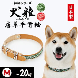 ペティオ 犬雅 唐草 平首輪 M グリーン | Petio 犬用首輪 犬具 国産 日本産 お散歩 中型犬 〜20kg 合皮 和柄 唐草模様