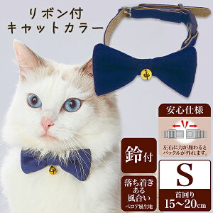 yeBI necoco lRR {tLbgJ[ S u[ | Petio Lp 킢 Vv t xAn OobN Sdl