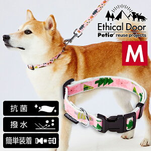 yeBI p EthicalDoor GVJhA Aj}J[ M sN | Petio p   U ^ `20kg RۉHn  ȒP ^b`obN ʕ 킢