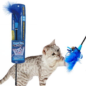 �y�e�B�I �L�p�������� ��D���u���[�̔L����炵 �L���L��&�t�F�U�[ | Petio �L�p �L�p�ߋ� ����炵 �L���L���e�[�v ������