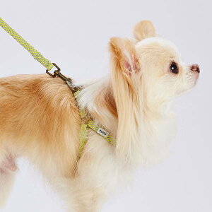 yeBI pn[lX tbV\tgn[lX SS CG[ ^ |jA ~j`A_bNX gCv[h`5kg܂   RۉH zn Petio 