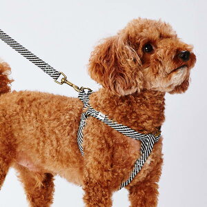 yeBI pn[lX tbV\tgn[lX S ubN ^`10kg܂   RۉH zn Petio 