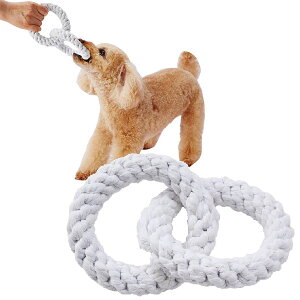 ySS|Cg10{zAhCg p i`Rbg \tg2AO ^ ^ Z  Add.mate