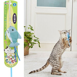 yeBI Lp 肮 de 炵 ~jT | Petio L ˂ R肮 Lpߋ L炵 ˂炵 {t