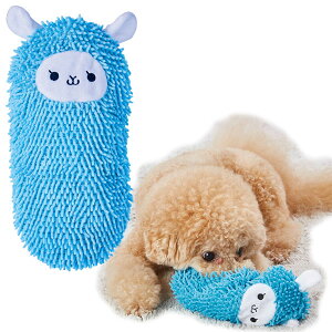 yeBI p RRVJVJTOY BIG ApJ | Petio SNpߋ ʂ ^ ^ ۂƐ􂦂