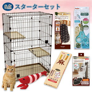 yʌX^[^[6_ZbgzLbgT[N 2i{߂݂{߂݂z_[{ܐ؂{uV{肮 | Petio L ˂ SL LpT[N P[W Q[W 2i Xebv