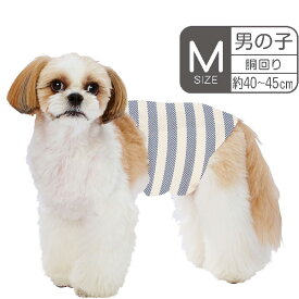 【6/1全品P10倍＋100円クーポン】ペティオ 犬用オムツ frais フレス たっぷり吸収するエチケットパンツ 男の子用おむつ M 14枚 全年齢 小型犬?中型犬 短毛犬・長毛犬 シーツ エチケットウェア Petio W27226