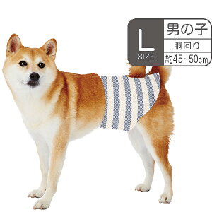 yeBI pIc frais tX ՂzG`Pbgpc j̎qpL 12 | Petio pނ ^ EGXg uԋz G`PbgEFA }i[Ic Ic ybgIc