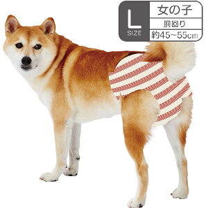 yeBI pIc frais tX ՂzG`Pbgpc ̎qp SSS/SS/S/M/L 12`20 | Petio pނ ^ ^ EGXg uԋz G`PbgEFA }i[Ic 