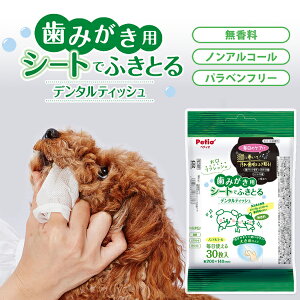 yeBI Lp ݂p V[głӂƂ f^eBbV 30 | Petio S SL EFbgeBbV mAR[  pxt[ L C r^~B6 ΒGL