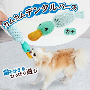 ySS|Cg10{zAhCg p Camu Come Dental Birds J p [v ݂ f^ Ђ q I[Xe[W ^ ^ Zь ь ߋ p Jt Add.mate