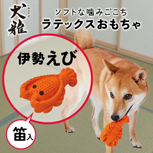 yeBI p  aHebNX ɐ | Petio p pߋ Jt \tg Gr CV aَqV[Y ^ ^