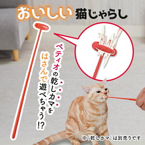 yeBI Lp yeBÎL炵 Lp I[Xe[W SL ZєLEєL ߋ Lp 炵 Petio
