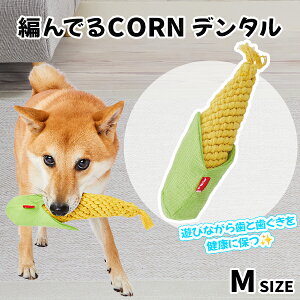 ySS|Cg10{zyeBI p ҂łCORNf^ M | Petio ҂łR[  ^ ^ pߋ gERV [vʂ ݂ ҂ f^gC f^