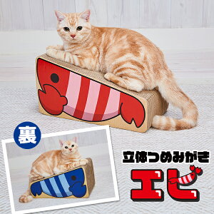 �y�e�B�I �L�p�������� ���̂߂݂����G�r �L�p�������� �I�[���X�e�[�W �S�L�� �Z�єL�E���єL �ߋ� �L�p �_���{�[�� Petio