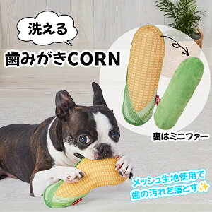 yeBI p 􂦂I ݂CORN | Petio ݂R[   ^ ^ pߋ gERV f^gC f^ߋ 􂦂