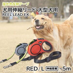 yeBI pLk[h [[hEX L bh | Petio ^ `30kg LkX[Y É uF˃e[v ue[v u[LbN U Âԑ
