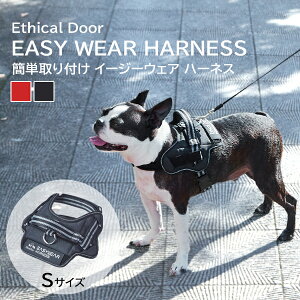 yeBI pn[lX EthicalDoor GVJhA C[W[EFAn[lX S ubN ^p  Petio R    TCN SDGs NbV 炩   U 