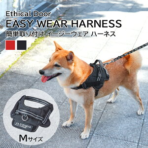 yeBI pn[lX EthicalDoor GVJhA C[W[EFAn[lX M ubN ueA {[_[R[ ^p R   NbV 炩   U 