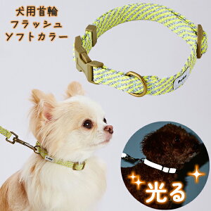 yeBI p tbV\tgJ[ SS CG[ | Petio ^ |jA ~j`A_bNX gCv[h `5kg  ʔ RۉH 炩e[v D