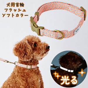 yeBI p tbV\tgJ[ S sN | Petio ^ |jA ~j`A_bNX gCv[h `10kg  ʔ RۉH 炩e[v D