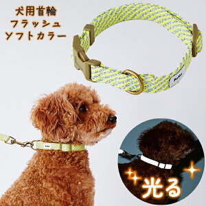 yeBI p tbV\tgJ[ S CG[ | Petio ^ |jA ~j`A_bNX gCv[h `10kg  ʔ RۉH 炩e[v D