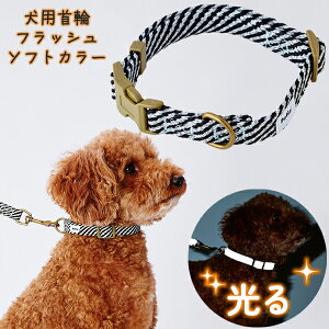 yeBI p tbV\tgJ[ S ubN | Petio ^ |jA ~j`A_bNX gCv[h `10kg  ʔ RۉH 炩e[v D