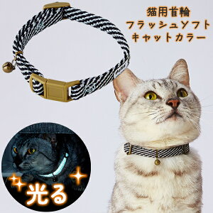 yeBI Lp tbV\tgLbgJ[ ubN | Petio SL  t ʔ RۉH 炩e[v D ͂ƊOobN