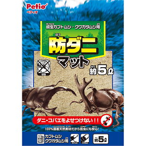 yeBI h_j}bg 5L | Petio  p }bg Y { JugV Jug NK^V   L R