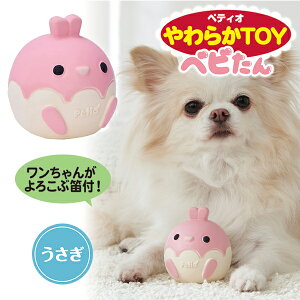 yeBI p 炩TOY xr  | Petio ^ ^ ebNXߋ Jt