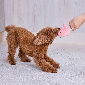 アドメイト 犬用おもちゃ ふわふわパピートイ ロープつき！はみがきぬいぐるみ うさぎ | Add.mate 仔犬用おもちゃ 超小型犬 小型犬 引っ張りおもちゃ デンタルトイ デンタルケア 歯みがき 噛みやすい 手洗い可