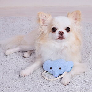 ySS|Cg10{zAhCg p ӂӂps[gC [vI݂͂ʂ  | Add.mate ep ^ ^ 肨 f^gC f^P