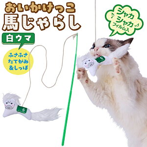 yeBI Lp n炵 E} | Petio SL L炵 킢 x ߔN n