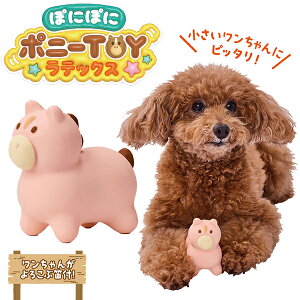 yeBI p ۂɂۂɃ|j[TOYebNX sN | Petio ^ ^ ebNXߋ Jt 킢 ݂₷ x ߔN n